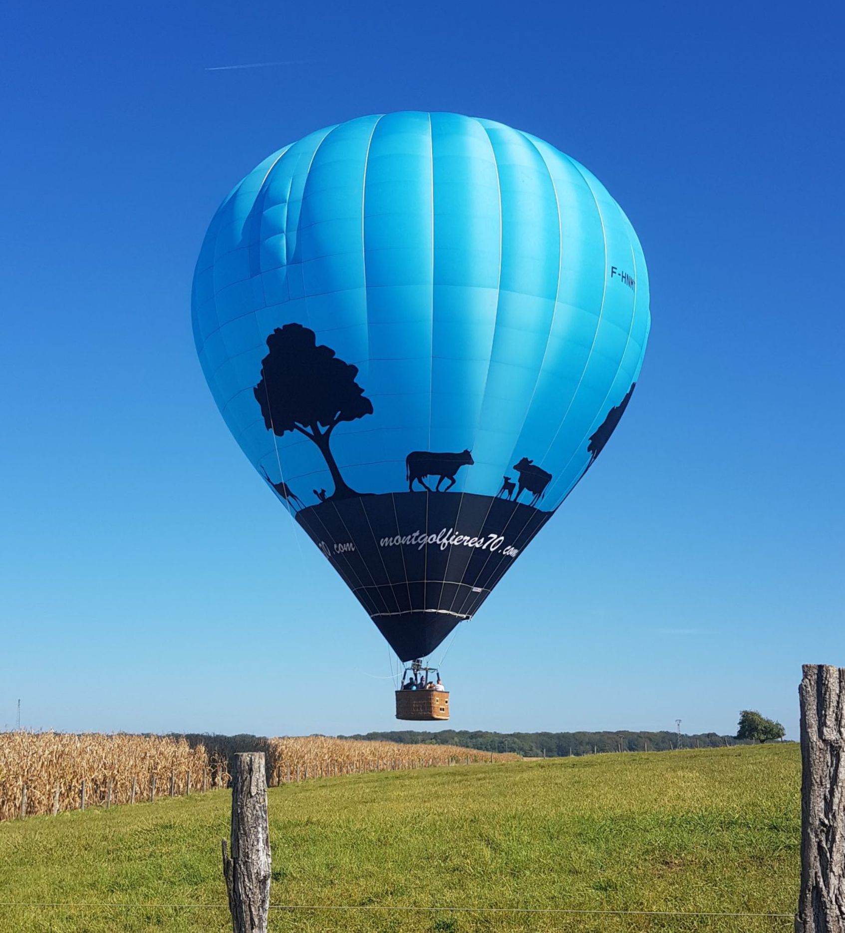 Paysage De Montgolfières Plusieurs Ballons Volant Du Ciel Au